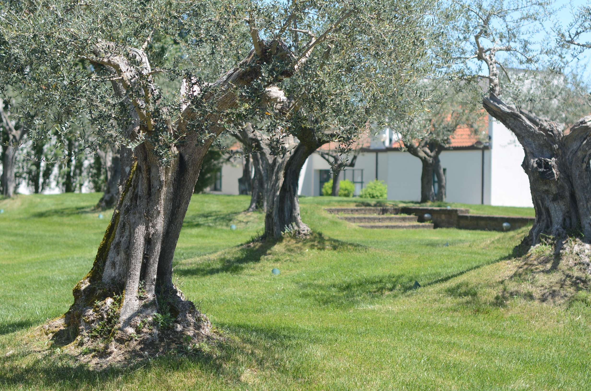 Confermata ed ampliata la certificazione GLP per il Centro di Saggio di Biogem